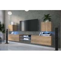 Mueble TV C4/2 (Roble mate)